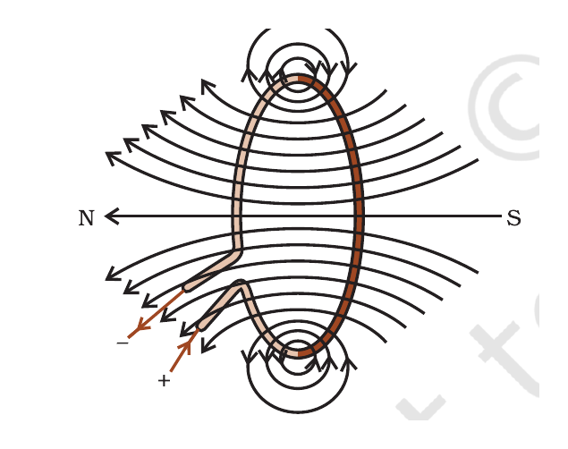 NCERT magnetic field pattern produced by a current-carrying circular loop.
