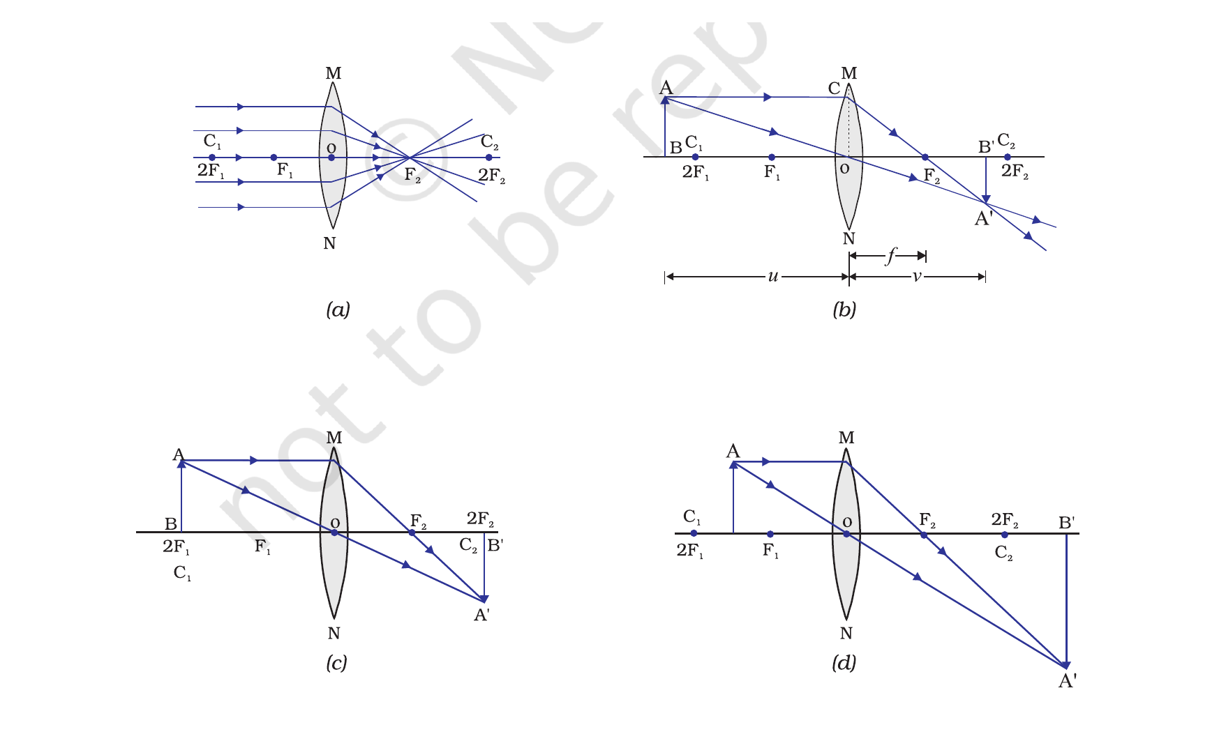 NCERT set of ray diagrams for image formation by a convex lens at common object positions.