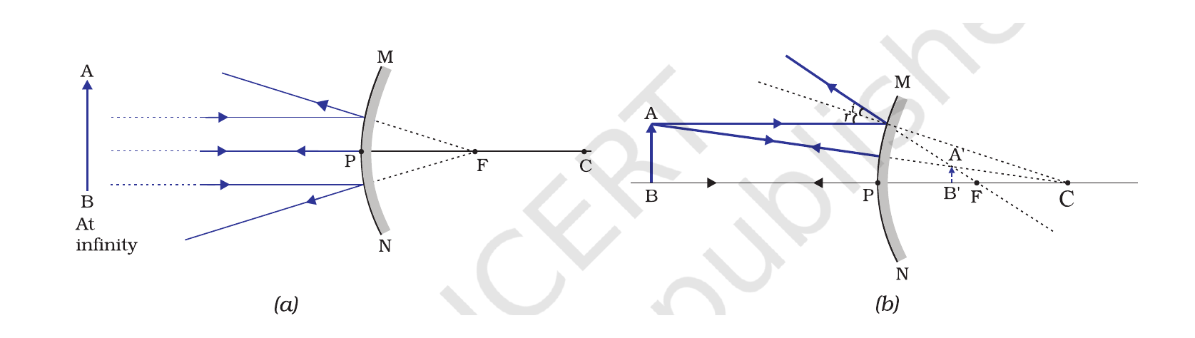 NCERT ray diagrams for image formation by a convex mirror when the object is at infinity and at a finite distance.