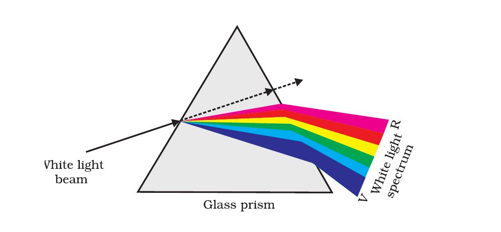 NCERT diagram of white light splitting into its spectrum through a glass prism.