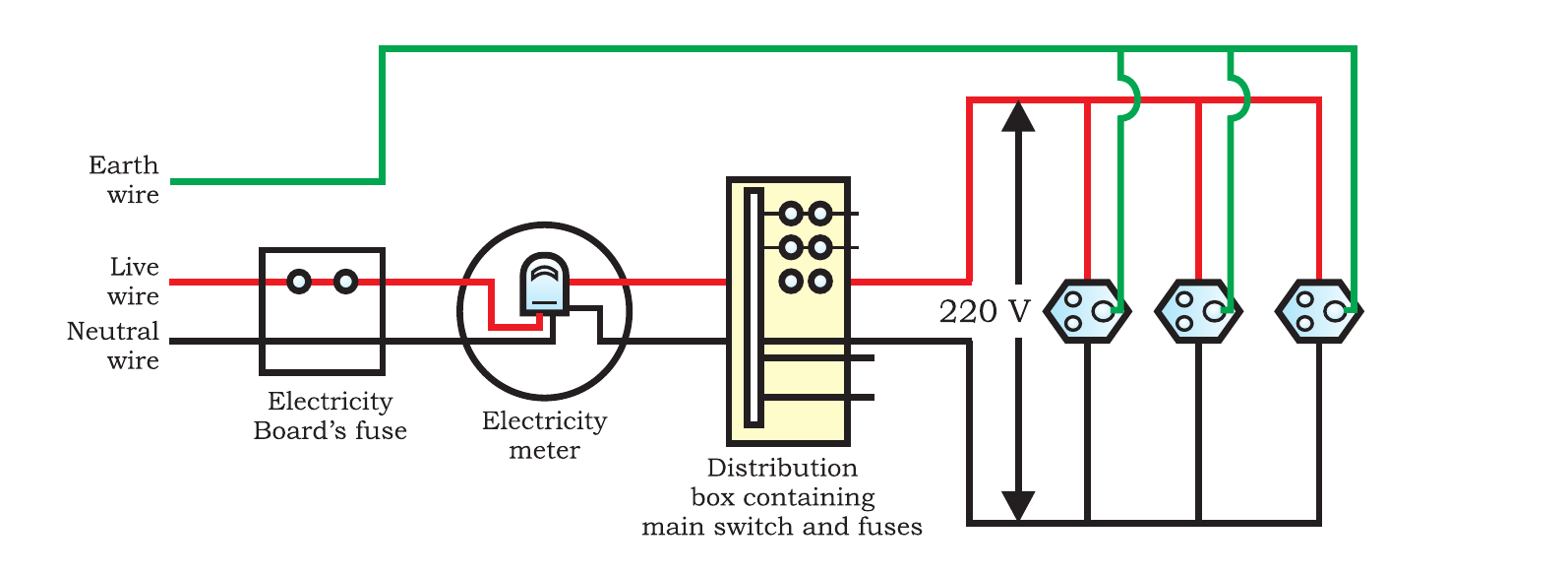 NCERT schematic of a domestic electric circuit showing live, neutral and earth wires, meter, fuse, distribution box and appliances.